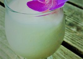 2019 Summer of Slushies: Island Getaway @ SE Portland’s North Bar | Be Swept Away, $5 For One Week Only! Summer of Slushies