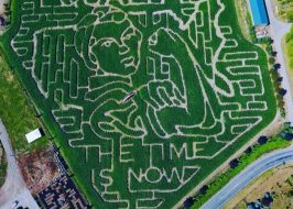 Win Tickets ($40): Equality- The Time is Now 2019 Corn Maze @ Portland’s Bella Organic Pumpkin Patch | Fall Harvest, All Ages, Family Friendly Bella Organic Pumpkin Patch equality corn maze