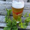 Oktoberfest Beer Belly Dinner – Ayinger vs. Occidental @ Eastburn Public House | Comparing Old vs New, Oktoberfest and Continental Style Brews 42099700_2224982400850017_875879672880037888_n