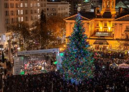 Portland Christmas / Holiday Tree Pictures, Video & 2019 Info: Arrival, Lighting, Sing-A-Long, Hot Chocolate | Pioneer Square PORTLAND CHRISTMAS TREE