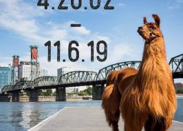 Portland in the News: Portland Subway; Remembering 2 Portland Greats: Columbia Sportswear’s Gert Boyle; & Therapy Llama, Rojo | November 7, 2019 https://www.kgw.com/article/news/local/animal/rojo-llama-portland-euthanized/283-c3c85f7a-fe7b-4643-a92b-6fc8a183f582