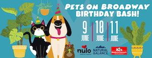 Birthday Bash Facebook Headers (2)