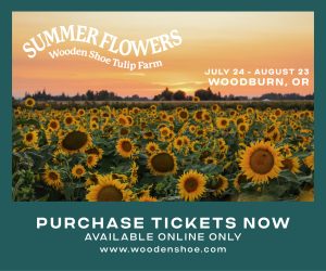 Wooden Shoe Flowers 300x250