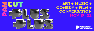 PLUS PLUS_300 x 1003