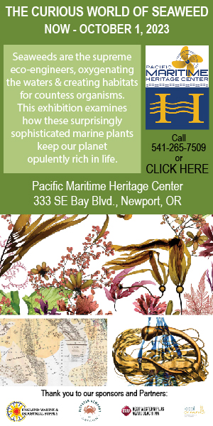 Pacific Maritime Seaweed 300x600 June 2023 72-01