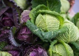 Get Fresh, Local Produce and Much More Year-Round at the Portland State University Farmers Market psu farmers