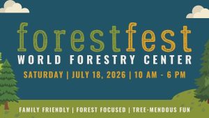 forestfest-600x338