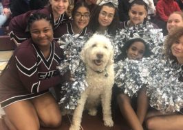 Portland in the News: Lillard is NBA All-Star for 5th Time; Franklin High School’s Therapy Dog; & Portland’s All-Black Radio Station | February 6, 2020 https://www.oregonlive.com/education/2020/01/archie-a-therapy-dog-has-a-full-time-job-at-portlands-franklin-high-school-video.html