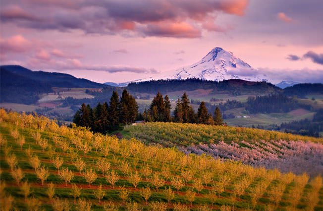 willamtte valley oregon