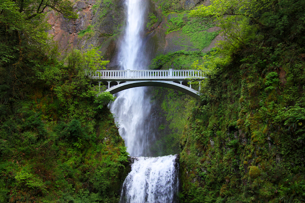 Multnomah Falls Announces Phased Reopening Plan Advanced Ticketing System Timed Entry Pdx Pipeline Multnomah Falls Announces Phased Reopening Plan Advanced Ticketing System Timed Entry Pdx Pipeline