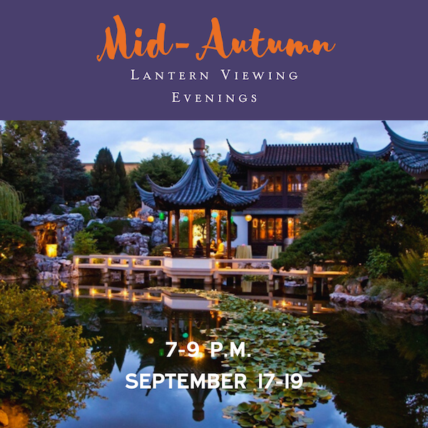 Chinese garden lantern festival deals