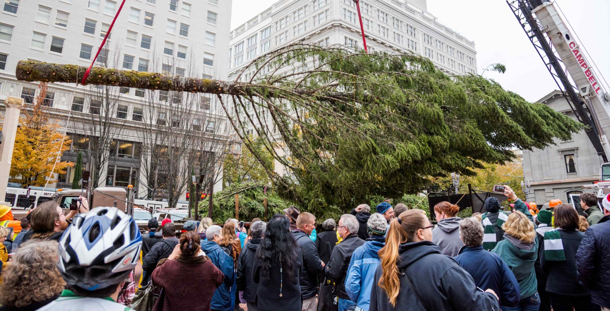 Downtown Portland 2024 Christmas/Holiday Tree in Pioneer Courthouse
