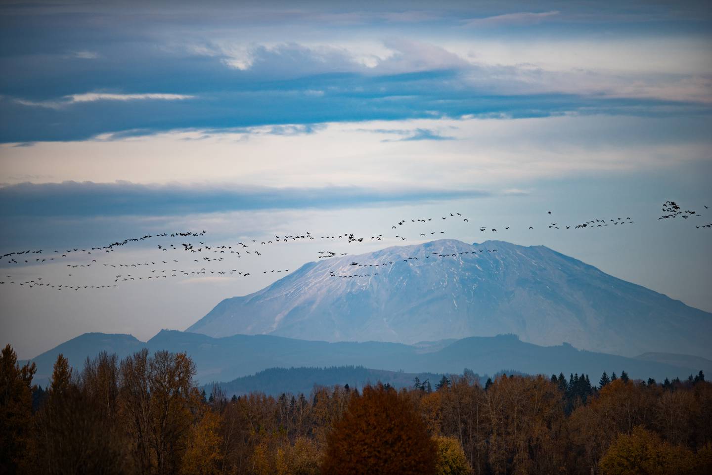 portland-in-the-news-hiking-sauvie-island-record-breaking-heat-local