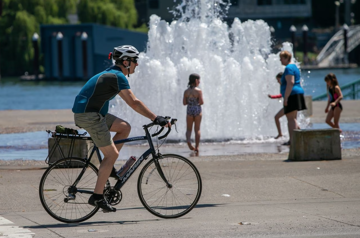 O que é gás pedal e para que serve?