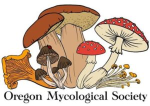 Oregon Mycological Society Fall Mushroom Show