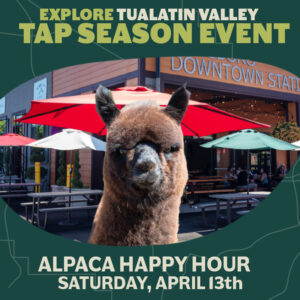 alpaca HappyHour800x800nl