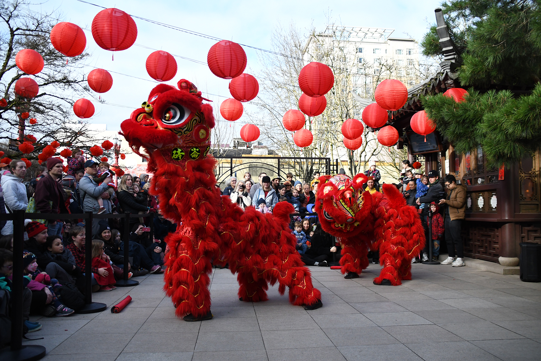 chinese new year 2025 johor bahru