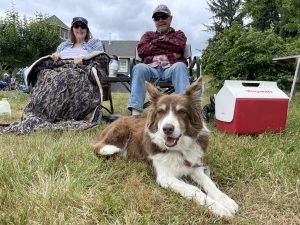 Win Tickets ($30): Lady Hill Fall Sheepdog Classic @ Lady Hill