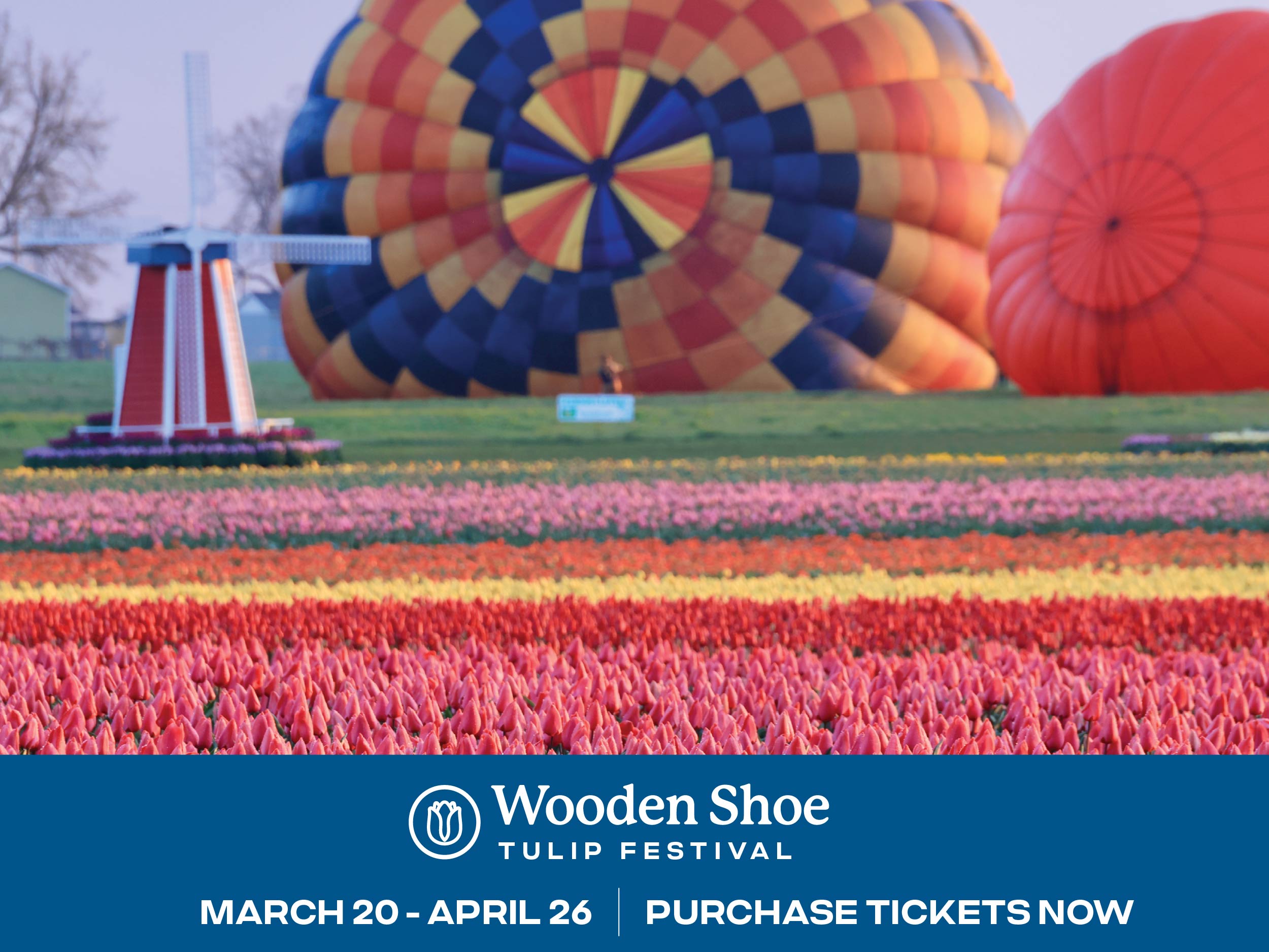 Win Tickets ($164): 2026 Wooden Shoe Tulip Festival | 40 Acres of