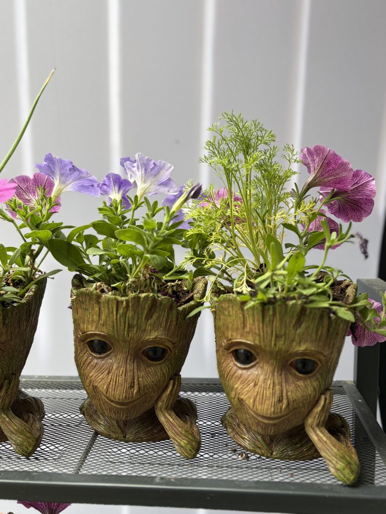 Groot