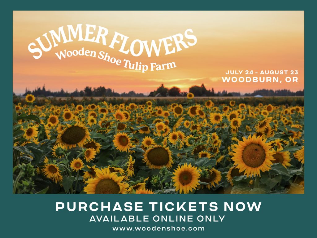 Wooden Shoe Summer Flowers