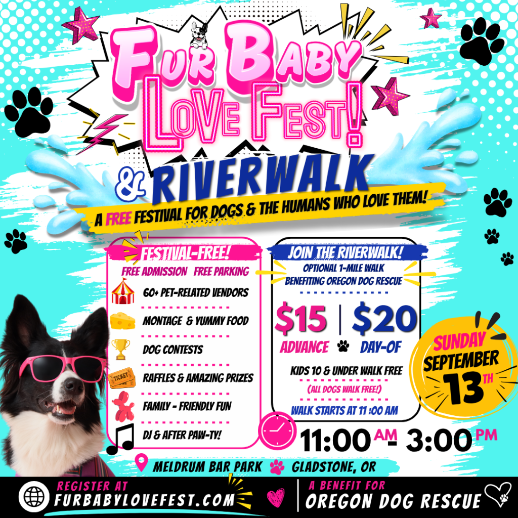 FBLF Flyer